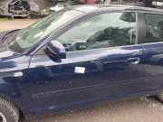 Tür links vorne AUDI A3 (8P) 8P3831051D