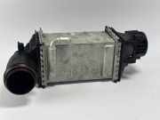 Ladeluftkühler VW Golf VIII (CD) 04E145785E