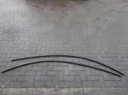 Zierleiste Tesla Model Y (5Y) EV Allrad 1495730-00-C 1495731-00-C Dach