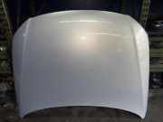 Motorhaube VW Passat B6 CC (357)