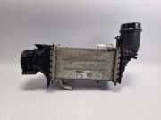 Original Ladeluftkühler VW Golf VIII 1.5 TSI - 04E145785E - Abgaskühler