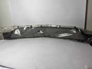 Lüftungsgitter für Stoßfänger MERCEDES-BENZ E-Klasse Coupe (C207) A2078800185