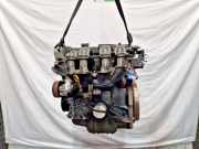 Motor FORD Fiesta VI 1.25 STJA