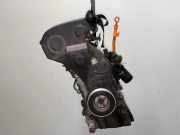 Motor ohne Anbauteile Audi A4 8E, B6 ALT