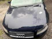 Motorhaube AUDI A3 (8P) 8P0823029B