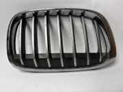 Kühlergrill rechts BMW X1 (F48) 7354824