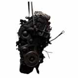 Original Motor FORD Focus II 1.6 TDCI - G8DA