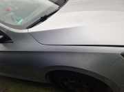 Original Kotflügel SKODA Rapid Spaceback 1.2 TSI - Rechts - 5JA821022D