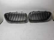 Kühlergrill komplett BMW 5er (F10) 7200728
