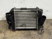 Ladeluftkühler AUDI A4 Avant (8E, B6)
