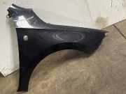 Kotflügel rechts vorne SKODA Fabia II Praktik (545)