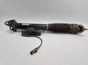 Stoßdämpfer MERCEDES BENZ GLE-Klasse W166 - A1663261300 - F4BA5J183HA - Hinten
