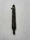 Einspritzdüse RENAULT Modus - Grand Modus (P) 8200815416 H8200421897