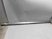 Zierleiste MERCEDES-BENZ E-Klasse (W211) A2116901962