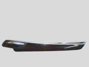 Türverkleidungsleiste BMW X6 4560400 Vorne links