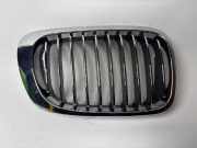Kühlergrill rechts BMW 3er Coupe (E46)