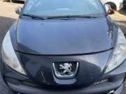 Motorhaube PEUGEOT 207 CC 7901N2