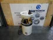 Benzinpumpe VW Polo V (6R) 1.0 6R0919051M