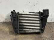 Ladeluftkühler AUDI A4 Avant (8E, B6) 8E0145806C
