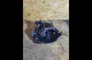Schaltgetriebe 20MB54 Citroen C4 2018 Diesel