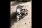 Schaltgetriebe GYL3 Honda Accord 2.0 2005 Benzin