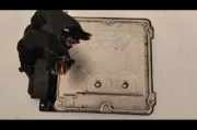 Motorsteuergerat 8E0910115N Audi A4 1.8 2003 Benzin