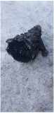 Getriebe Schaltgetriebe Audi A6 2.5 110kW 150PS 1997-2001 Diesel 01E301211C