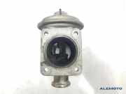 AGR EGR Mitsubishi Grandis 2.0 136kW 100PS 2005-2010 Diesel 1111AA