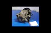 Klimakompressor H12A1AA4DJ Mazda 6 1.8 2003 Benzin