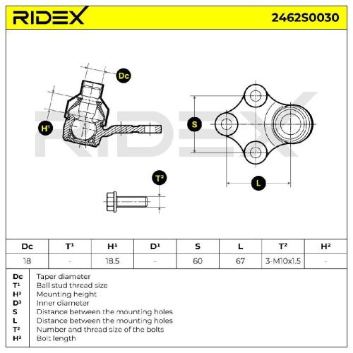 RIDEX 2462S0030 Traggelenk Führungsgelenk Vorne unten für CITROËN BERLINGO (B9) Bild RIDEX 2462S0030 Traggelenk Führungsgelenk Vorne unten für CITROËN BERLINGO (B9)