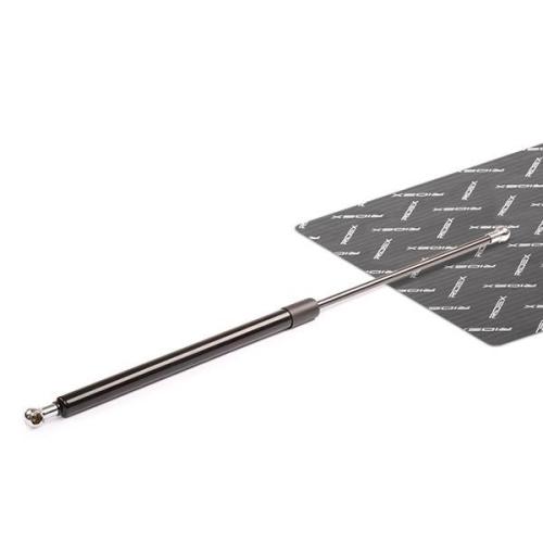 RIDEX 219G0031 Heckklappendämpfer beidseitig hinten Länge:545mm 300N Hub: 230mm Bild RIDEX 219G0031 Heckklappendämpfer beidseitig hinten Länge:545mm 300N Hub: 230mm