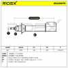 RIDEX 854S0079 2x Stoßdämpfer Federbein Gasdruck Vorne für RENAULT Scénic 1 Bild RIDEX 854S0079 2x Stoßdämpfer Federbein Gasdruck Vorne für RENAULT Scénic 1