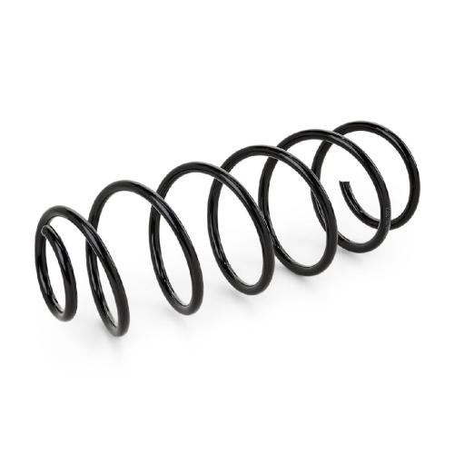 RIDEX 188C0252 2x Federn Fahrwerksfedern Vorne für SMART FORTWO Coupe (451) Bild RIDEX 188C0252 2x Federn Fahrwerksfedern Vorne für SMART FORTWO Coupe (451)