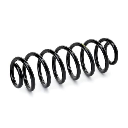 RIDEX PLUS 188C0125P 2x Federn Fahrwerksfedern Hinten für VW TIGUAN (5N) Bild RIDEX PLUS 188C0125P 2x Federn Fahrwerksfedern Hinten für VW TIGUAN (5N)