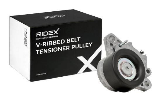 RIDEX 310T0664 Spannrolle Keilrippenriemen für HYUNDAI Tucson (TL, TLE) Bild RIDEX 310T0664 Spannrolle Keilrippenriemen für HYUNDAI Tucson (TL, TLE)
