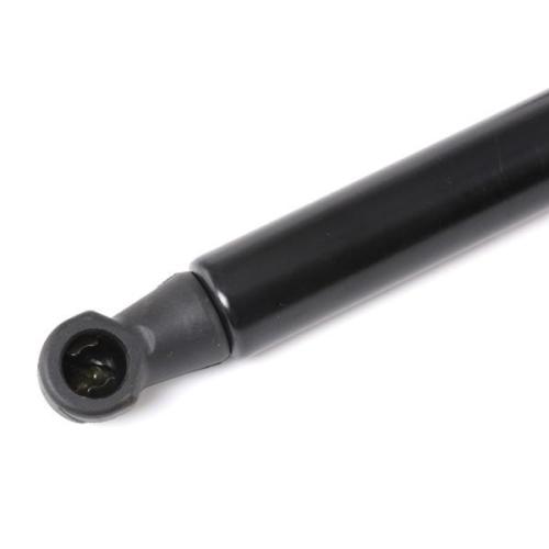 RIDEX Motorhaubendämpfer für FIAT MULTIPLA (186) Bild RIDEX Motorhaubendämpfer für FIAT MULTIPLA (186)