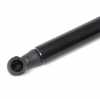 RIDEX Motorhaubendämpfer für FIAT MULTIPLA (186) Bild RIDEX Motorhaubendämpfer für FIAT MULTIPLA (186)