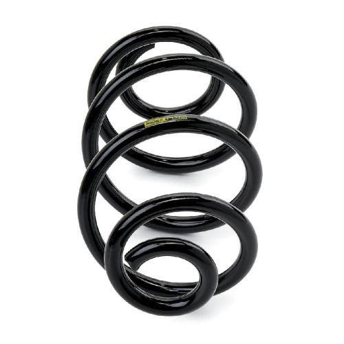 RIDEX PLUS 188C0242P 2x Federn Fahrwerksfedern Hinten für RENAULT Bild RIDEX PLUS 188C0242P 2x Federn Fahrwerksfedern Hinten für RENAULT
