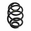 RIDEX PLUS 188C0242P 2x Federn Fahrwerksfedern Hinten für RENAULT Bild RIDEX PLUS 188C0242P 2x Federn Fahrwerksfedern Hinten für RENAULT