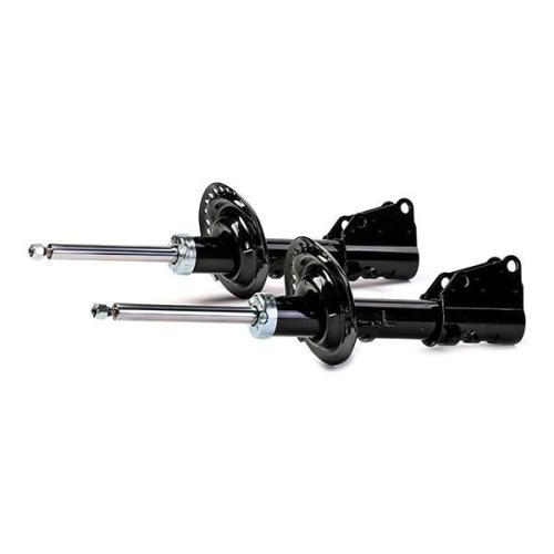 RIDEX 854S2087 2x Stoßdämpfer Federbein Gasdruck Vorne für RENAULT A4153200313 Bild RIDEX 854S2087 2x Stoßdämpfer Federbein Gasdruck Vorne für RENAULT A4153200313
