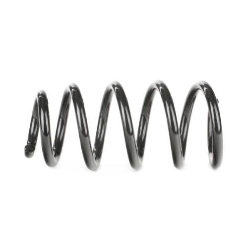 RIDEX 188C0339 2x Federn Fahrwerksfedern Hinten für HONDA CR-V III (RE) Bild RIDEX 188C0339 2x Federn Fahrwerksfedern Hinten für HONDA CR-V III (RE)