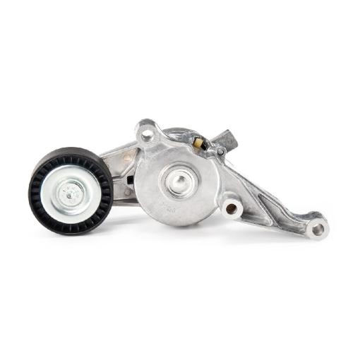 RIDEX Spannarm Keilrippenriemen für VW Golf 5 Schrägheck (1K1) Bild RIDEX Spannarm Keilrippenriemen für VW Golf 5 Schrägheck (1K1)