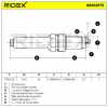 RIDEX 686S0175 Zündkerze Platin Spanner Size: 16 mm Gewindelänge: 20,5 für VW Bild RIDEX 686S0175 Zündkerze Platin Spanner Size: 16 mm Gewindelänge: 20,5 für VW