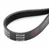 RIDEX Keilrippenriemen für BMW 3 Touring (E91) Bild RIDEX Keilrippenriemen für BMW 3 Touring (E91)