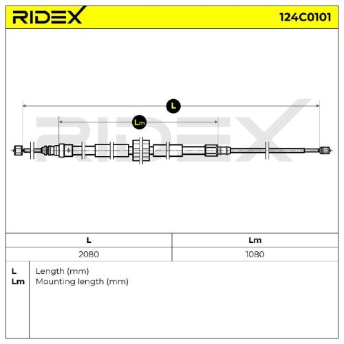 RIDEX Handbremsseil Hinten für RENAULT Scénic 1I (JM0/1) Bild RIDEX Handbremsseil Hinten für RENAULT Scénic 1I (JM0/1)