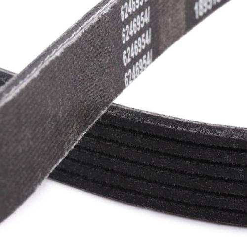 RIDEX PLUS Keilrippenriemen für VW Golf 5 Schrägheck (1K1) Bild RIDEX PLUS Keilrippenriemen für VW Golf 5 Schrägheck (1K1)