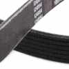 RIDEX PLUS Keilrippenriemen für VW Golf 5 Schrägheck (1K1) Bild RIDEX PLUS Keilrippenriemen für VW Golf 5 Schrägheck (1K1)