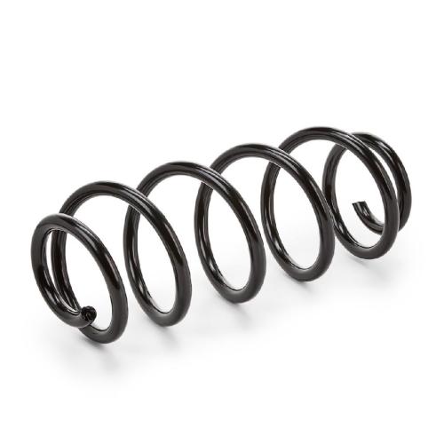 RIDEX 188C0065 2x Federn Fahrwerksfedern Vorne für VW PASSAT Variant (3B6) Bild RIDEX 188C0065 2x Federn Fahrwerksfedern Vorne für VW PASSAT Variant (3B6)