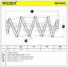 RIDEX 188C0924 2x Federn Fahrwerksfedern Vorne für VW Polo Schrägheck Bild RIDEX 188C0924 2x Federn Fahrwerksfedern Vorne für VW Polo Schrägheck