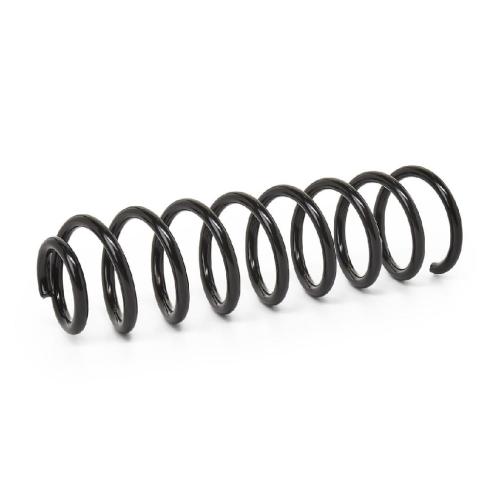 RIDEX 188C0040 2x Federn Fahrwerksfedern Hinten für RENAULT Megane 1I Kombi Bild RIDEX 188C0040 2x Federn Fahrwerksfedern Hinten für RENAULT Megane 1I Kombi